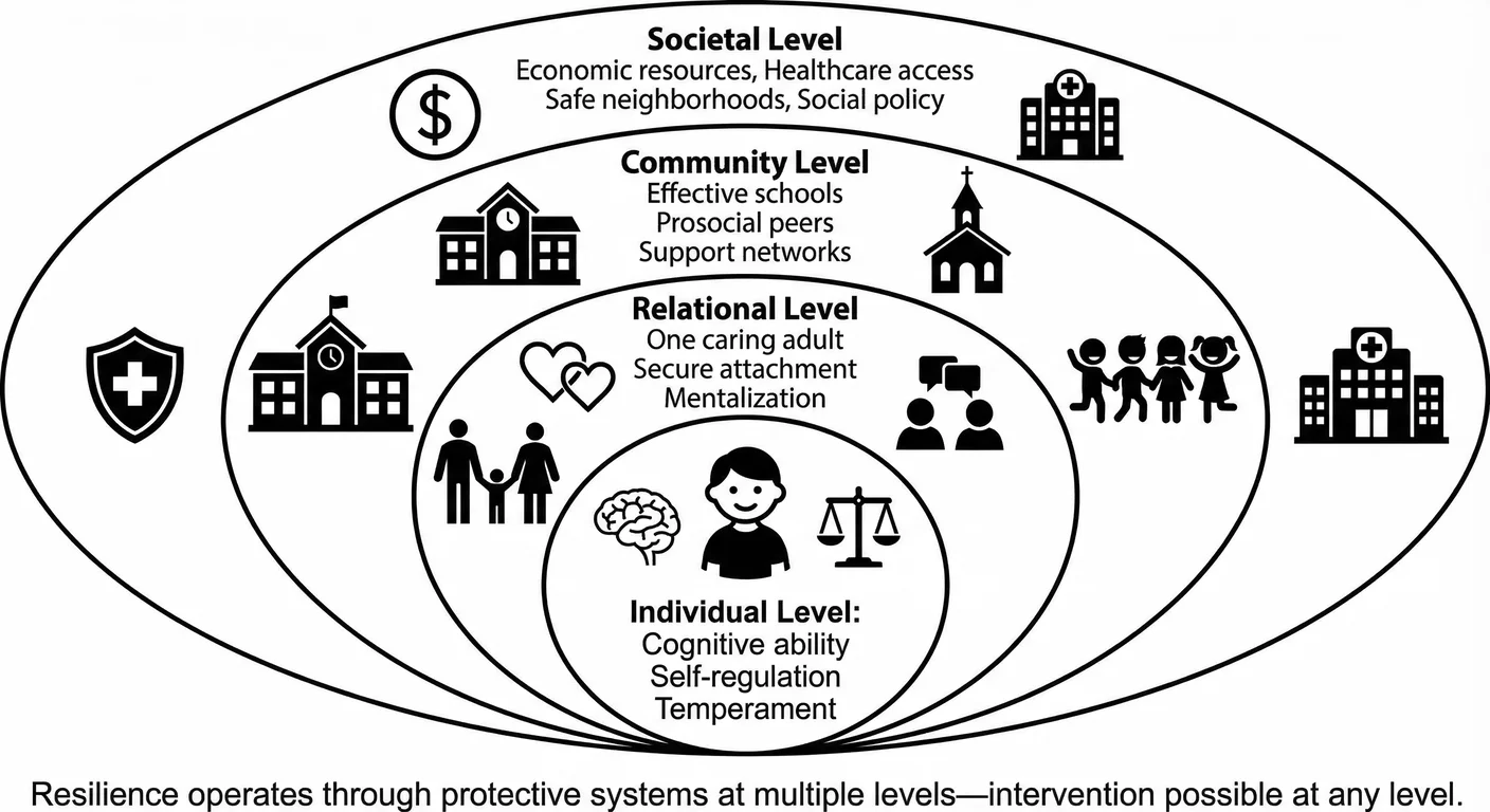 Resilience operates through protective systems at multiple ecological levels—intervention is possibl